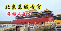 美国大鸡巴爆操中国北京-东城古宫旅游风景区